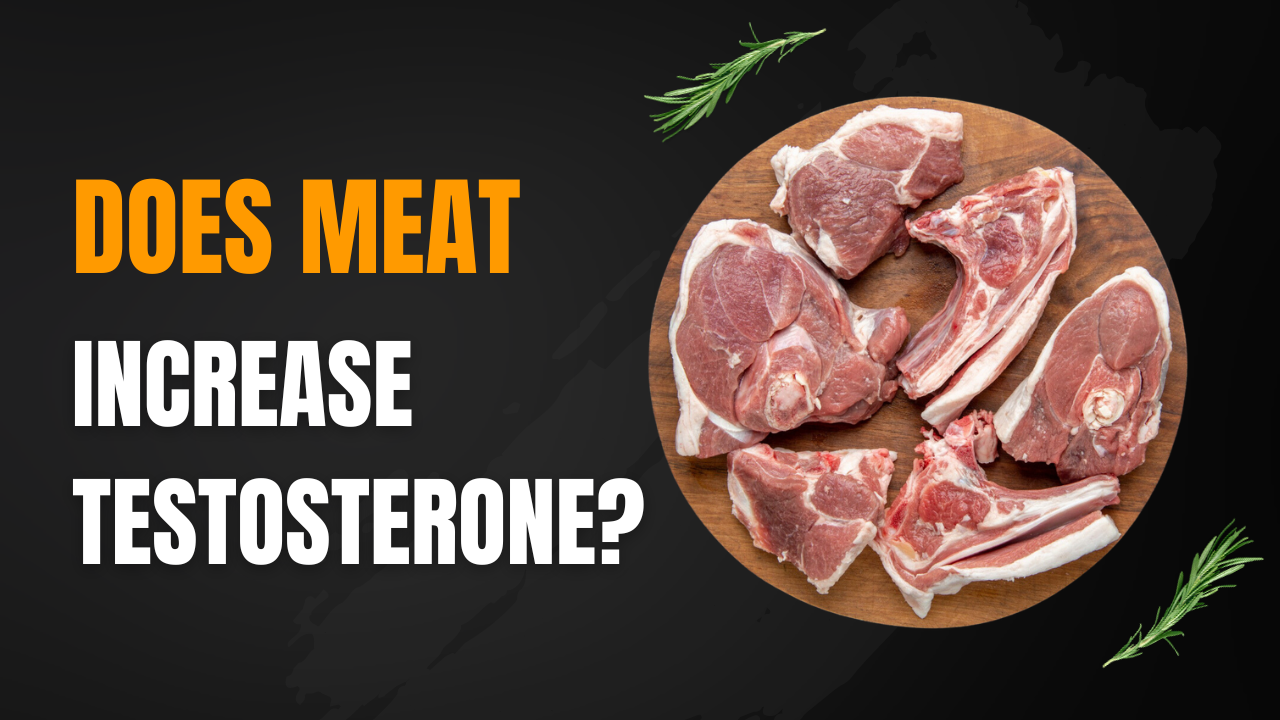 Does Meat Increase Testosterone