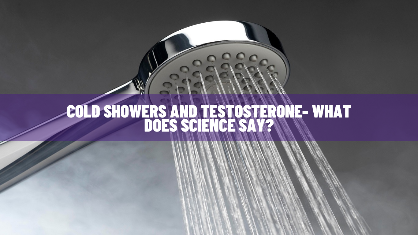 Cold Showers and Testosterone- What Does Science Say