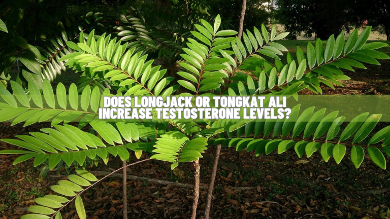 Does Longjack Or Tongkat Ali Increase Testosterone? Scientific Facts