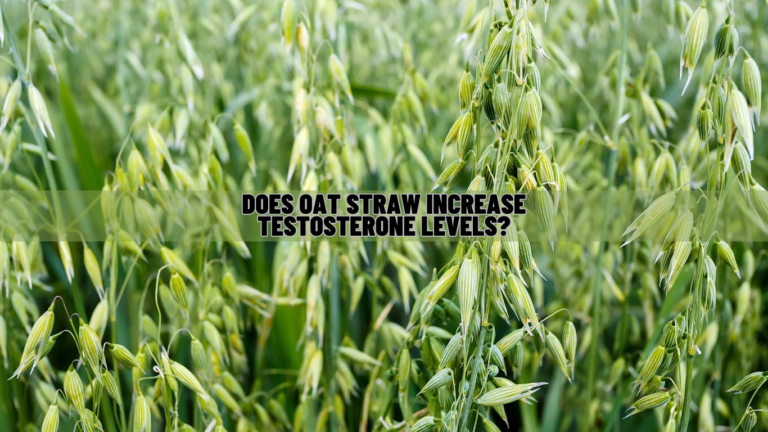 Does Oat Straw Increase Testosterone Levels? Scientific Facts