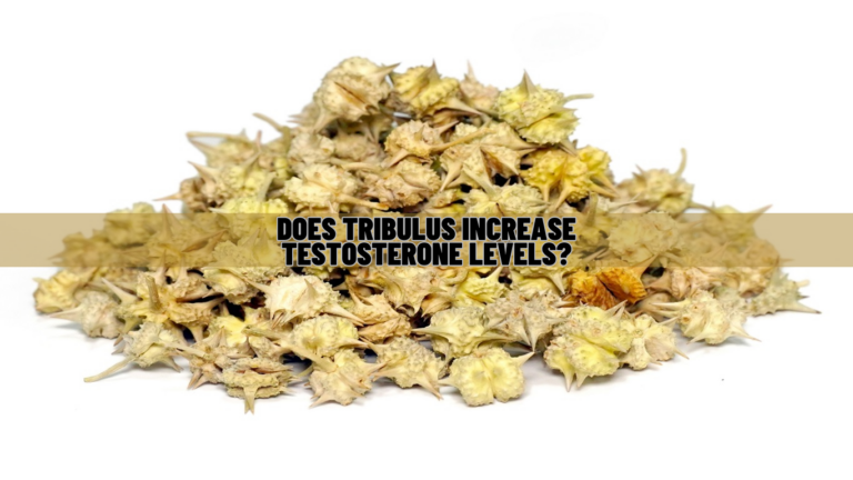 Does Tribulus Increase Testosterone Levels? Know Scientific Facts